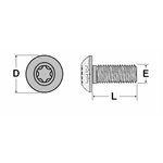 Boulon de traverse, empreinte Torx,3 / 8"-24 x 1 "