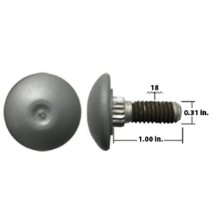 Silver encapsulated head camtainer bolt 1"