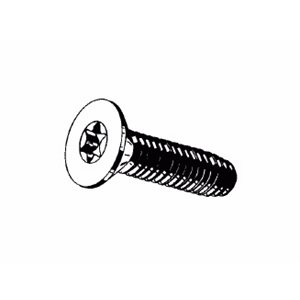 Torx screw 1 / 4 x 2